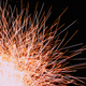 Image for article titled 19 Dazzling Photos of Fireworks